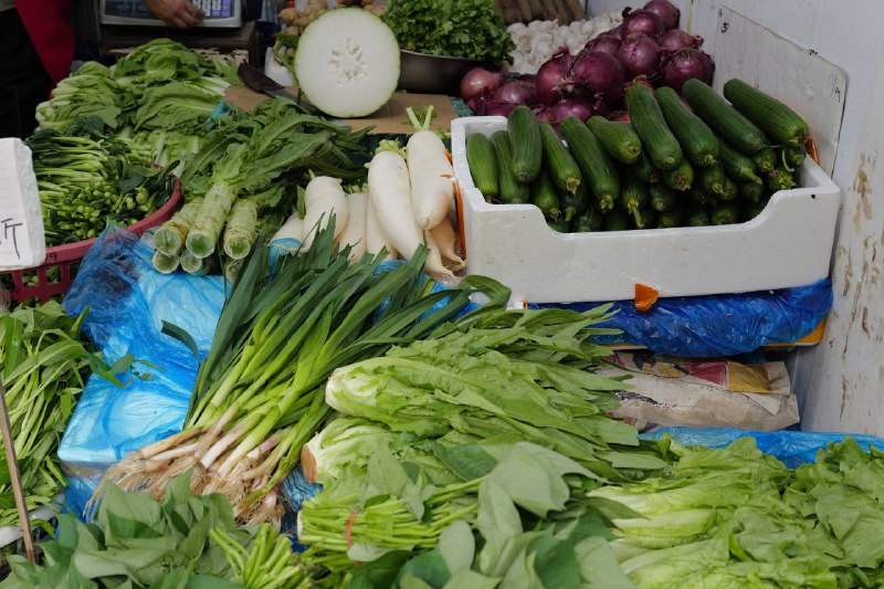 葑门横街葑门横街