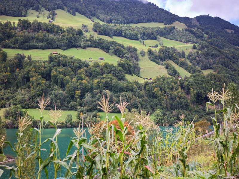 #瑞士 #旅游 #摄影#瑞士 #旅游 #摄影