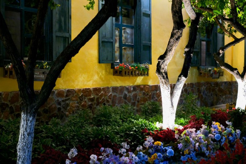 #摄影 #徕卡 #旅游 六星街#摄影 #徕卡 #旅游 六星街