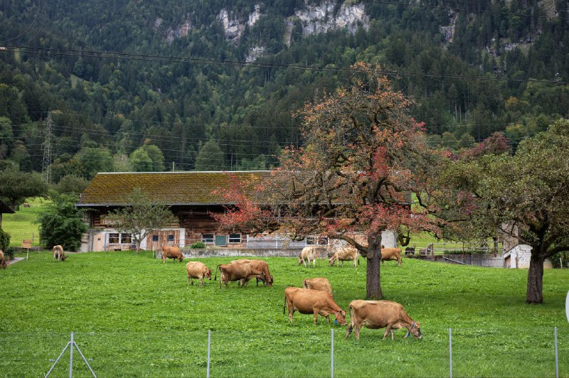 #瑞士 #旅游 #摄影#瑞士 #旅游 #摄影