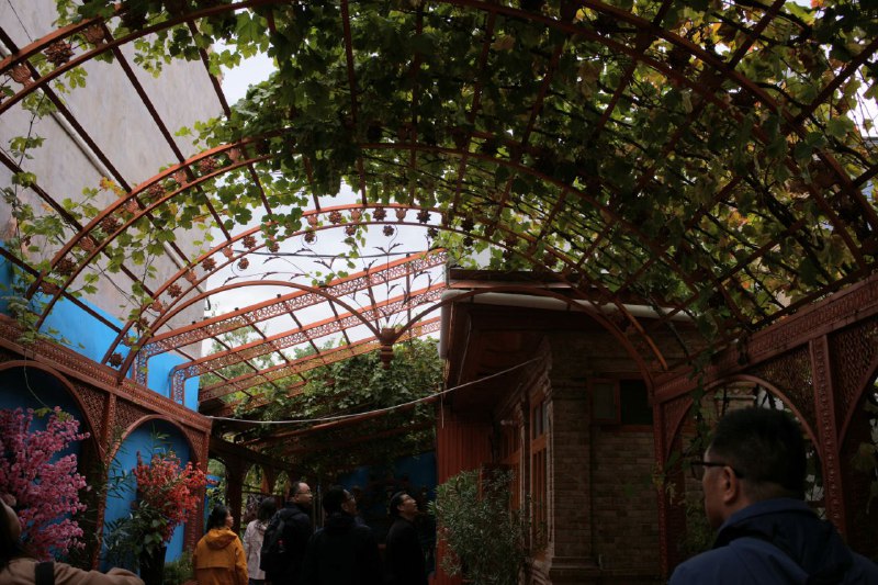 #摄影 #旅游 #徕卡 #伊宁 卡赞齐#摄影 #旅游 #徕卡 #伊宁 卡赞齐