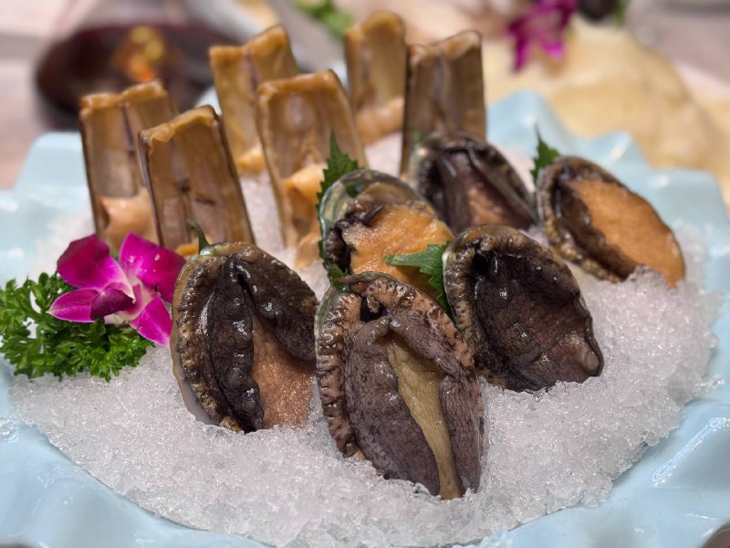 2024年10月 新区德天肥牛2024年10月 新区德天肥牛