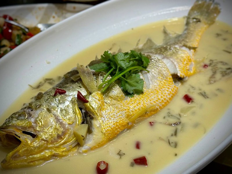 #自驾 #觅食记 #台州#自驾 #觅食记 #台州